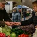 Де сьогодні у Києві можна купити фермерські продукти: адреси ярмарків