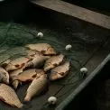 Піймали браконьєра з уловом на 700 тисяч: що йому загрожує?