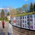 У Києві відкрилася виставка арт-марафону "Покоління війни"