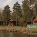 Дитячий табір «Росинка» біля Києва виставили на продаж під забудову