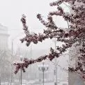 Ожеледиця, вітер і заморозки: Київ попередили про небезпеку на дорогах