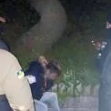 Нічний дебош на Виноградарі: киянин розбив вітрину супермаркету та стрибав між смітниками