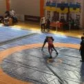Чемпіонат Києва зі спортивної боротьби: вільна та греко-римська боротьба об'єднали столицю