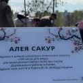 У Києві висадили 20 сакур: новий символ надії та миру