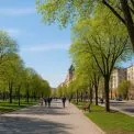 Погода у Києві 14 квітня: теплі дні та потепління після холоду