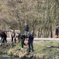 Масштабна толока у Голосіївському парку: як молодь Києва взяла участь у важливій екологічній ініціативі