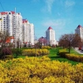 Понад півтори тисячі кущів і дерев для озеленення Оболоні