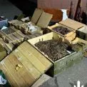 Арсенал у гаражі Києва: 35 тисяч патронів і БПЛА