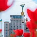 Київ розцвітає: куди піти, щоб побачити перші тюльпани