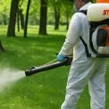 У Києві знищують кліщів: чому це важливо для вашого здоров’я