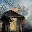 Пожежа через спалювання трави на Обухівщині: загинули 8 тварин
