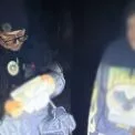 У Києві затримали наркодилерів у парку: що відомо про 18-річних хлопців