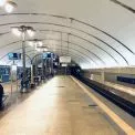 Київський зоопарк виходить у підземку: реклама з'явиться на 13 станціях метро