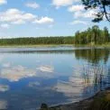 Тіло чоловіка знайшли у водоймі на Київщині: моторошні подробиці