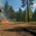 Київ та область: як уникнути небезпеки через високий рівень пожежної небезпеки