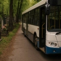 Київ запускає спецтранспорт до кладовищ — коли і як їхати