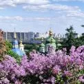 Бузкова казка у Києві: ботсад розквітнув неймовірними барвами