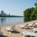 У Києві за 5,2 мільйона гривень проведуть обробку пляжів від кліщів і щурів