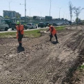 Столичне шосе у Києві перетворюють на квітучий луг: що змінюється