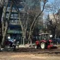 У Києві розквітне Столичне шосе: висадили луки та злаки
