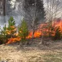 Надзвичайний рівень пожежної небезпеки в Києві: що потрібно знати