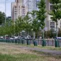 Київ встановлює торби для поливу молодих дерев: як це працює
