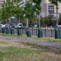 У Києві дерева поливають через торби: що це за нова система зрошення