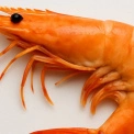 Такі креветки з часником люблять всі, хто в захваті від морепродуктів