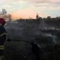 Під Обуховом згоріло 45 гектарів трави: пожежу ліквідували