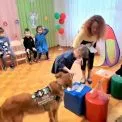 Собаки-терапевти та поліція Київщини: як допомагають дітям емоційно відновитись