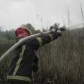 У Києві палав очерет на Совських ставках: рятувальники ліквідували масштабну пожежу