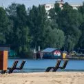 У Києві труять щурів на пляжах — що треба знати киянам