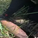 На Бучанщині виявили міну «НОНА»: як діяли сапери ДСНС