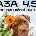 Київ відкриває «Базу 4.5.0»: допомога для воїнів і не тільки