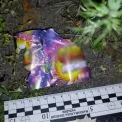 У Києві судитимуть чоловіка за феєрверк під час комендантської