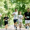 Стартувала реєстрація на 32-й «Пробіг під каштанами»