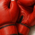 Сергій Богачук vs Майкл Фокс: бій у США та шлях до титулу WBC