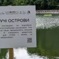 Плавучий острів у столичному парку «Нивки»: навіщо він з’явився та як змінить місто