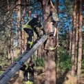 У Зазим’ї хлопчик застряг на дереві: рятувальники прийшли на допомогу