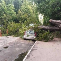 Старий каштан розчавив авто на Липках: у Києві впало дерево через негоду