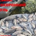 На Вишгородщині затримали браконьєра з незаконним уловом на 124 899 грн
