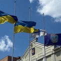 Ірпінь у жалобі: місто приспустило прапори через трагедію в Сумах