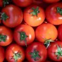 Сьогодні у Києві – фермерські ярмарки: де купити продукти вигідно