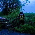 Буревій на Київщині: рятувальники з Білої Церкви рятували дороги