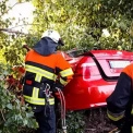 Моторошна аварія під Києвом: авто розірвало об дерево, загинули троє