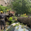 Негода в Києві: дерева попадали на автомобілі та майно