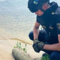 Шок на березі Київського моря: знайшли снаряд часів Другої світової
