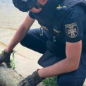 У Бородянці знайшли боєприпаси часів Другої світової