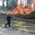 Нові заходи ДСНС: на Київщині збільшать кількість резервних команд для боротьби з лісовими пожежами