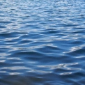 Очищення озера в Бучі: як місто покращує якість води біля парку